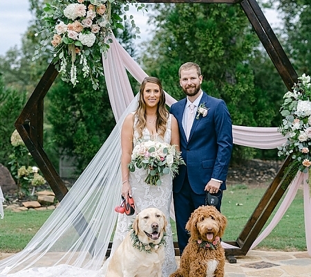 Dog Wedding Portrait