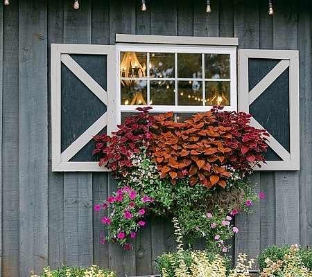 Fall Wedding Flowers