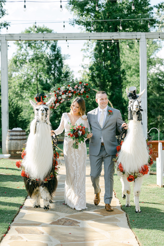 Wedding Llamas